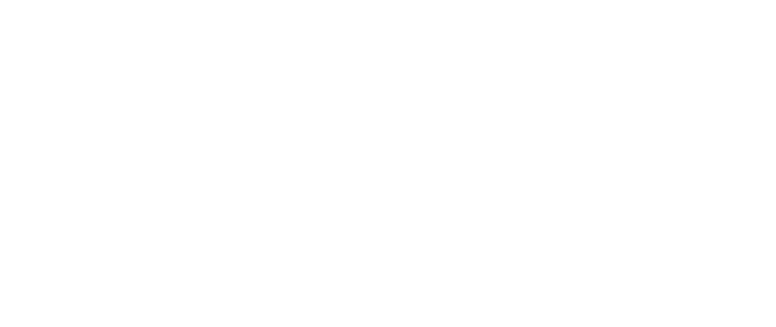 Logo Flip